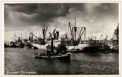 Rotterdam - HAvengezicht