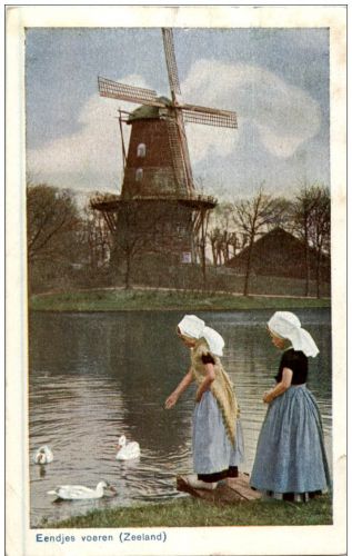 Zeeland - Eendjes voeren