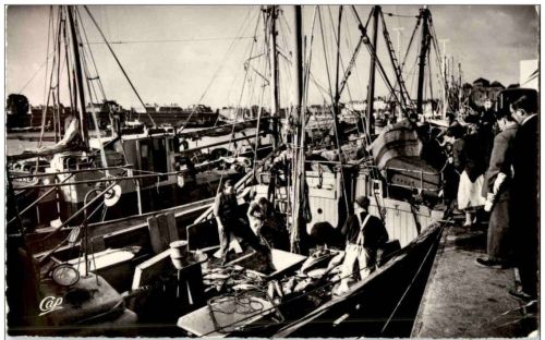 Concarneau - Retour de la Peche au Thon