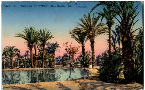 Une Oasis