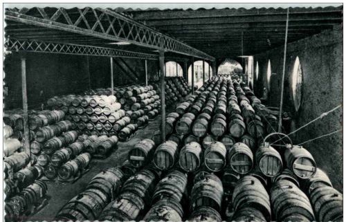 Casa Codorniu San Sadurni de Noya - Una bodega