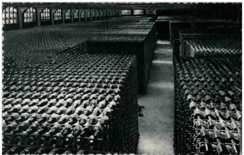 Casa Codorniu San Sadurni de Noya - Botellas envejeciendo