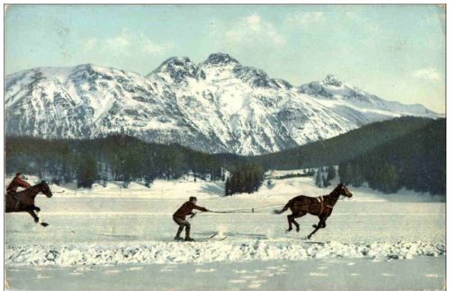 Skikjöring - Pferd mit Skifahrer