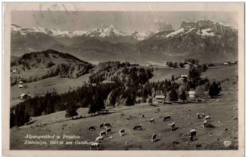 Alpengasthof Zistelalpe am Gaisberg
