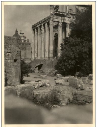 Roma - Forum - Photo
