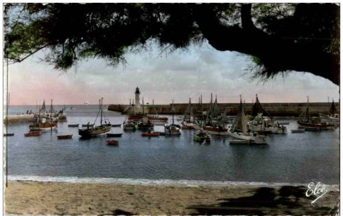 Ile D Oleron - La Continiere