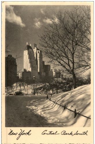 New York - Central Park in Winter