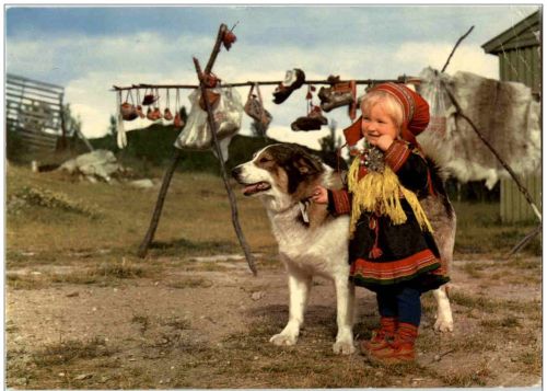 Samepike leker med hunden sin