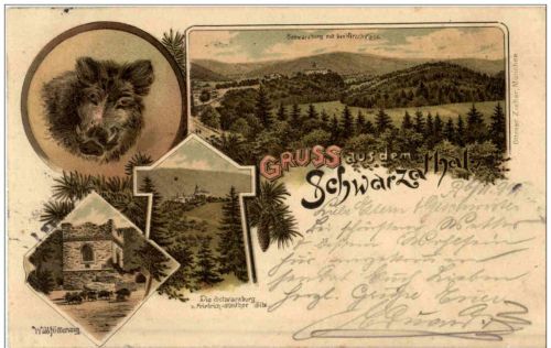 Gruss aus dem Schwarzathal - Litho Wildschwein