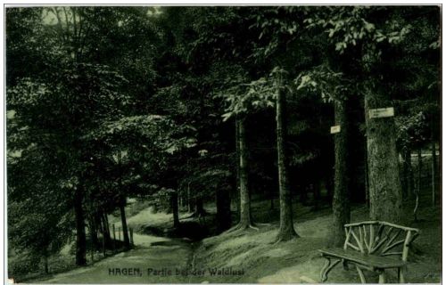 HAgen - PArtie bei der Waldlust