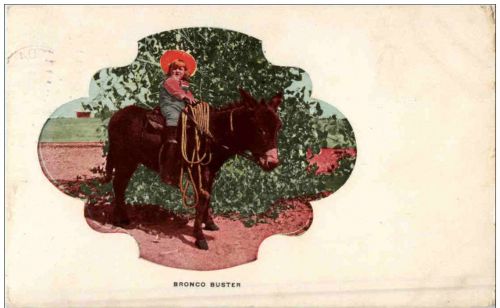 Bronco Buster
