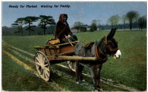 Esel Kutsche Donkey
