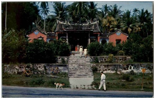 Penang - Snake Temple