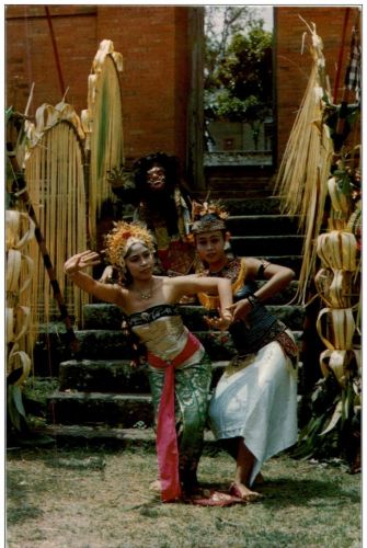 Butterfly Dance - Temu Lilingan