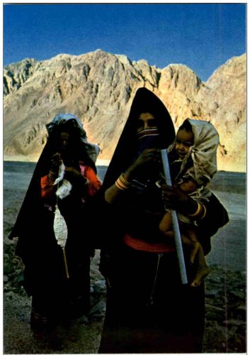 Bedouin women in the Sinai desert