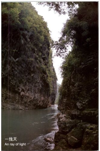 Shennong