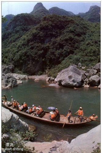 Shennong