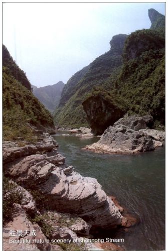 Shennong