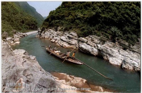 Shennong