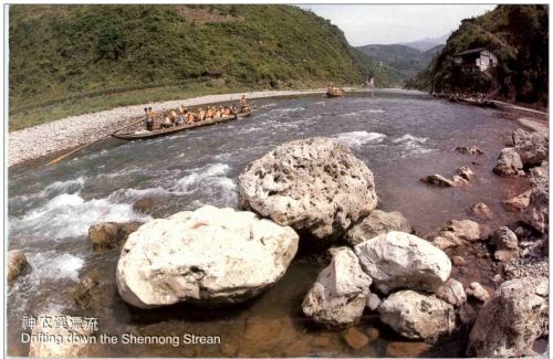 Shennong