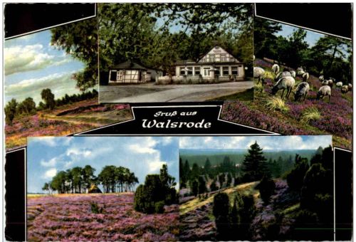 Gruss aus Walsrode