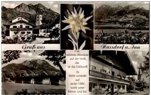 Gruss aus Nussdorf am Inn mit echtem Edelweiss