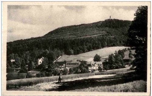 Hain mit Hochwald