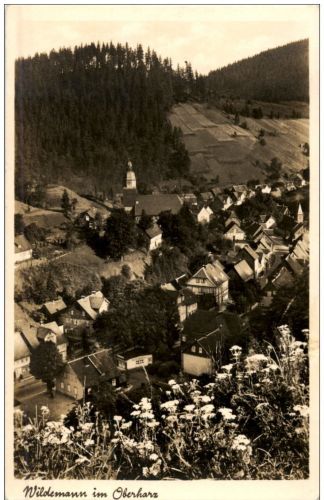 Wildemann im Oberharz
