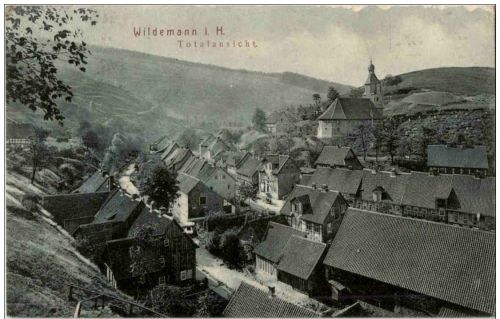 Wildemann