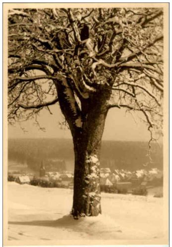 Braunlage - Photo