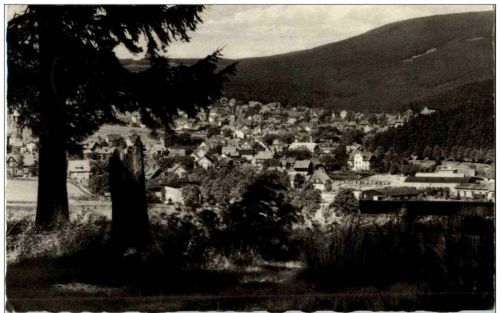 Braunlage - Adamsblick