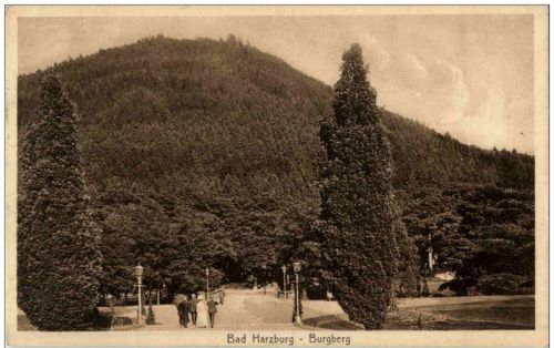 Bad Harzburg - Burgberg