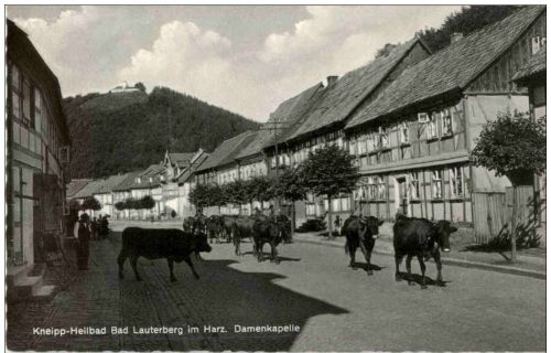 Bad Lauterberg - Damenkapelle