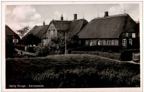 Hallig Hooge - Königspesel
