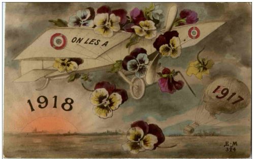 Flugzeug 1917 1918