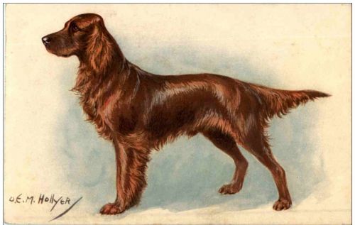 Hund - M. Hollyer