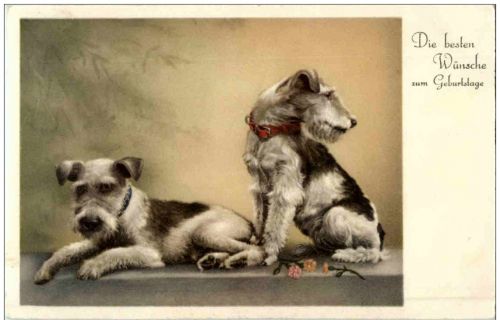 Hunde