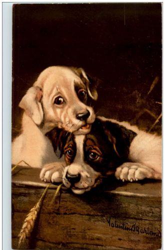 Hunde