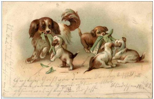 Hunde - Prägekarte Litho