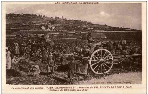 Chateau de Beaune - Aux Champimonts - Wein Wine