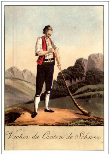 Vacher du Canton de Schwiz