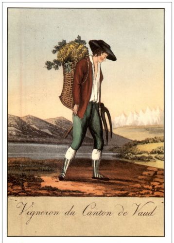 Paysanne du Canton de Vaud