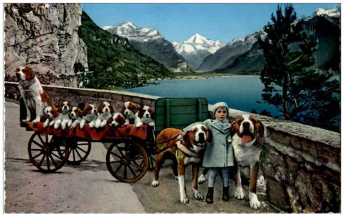Flüelen - Hundekarren