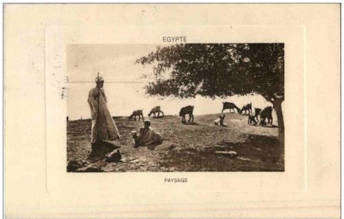 Egypte - Paysage