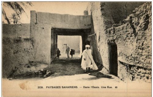 Paysages Sahariens - Dans l Oasis