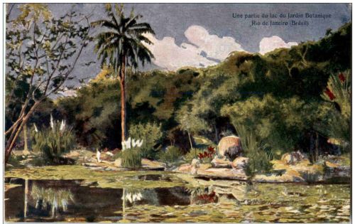 Rio de Janeiro - Une partie du lac du Jardin Botanique