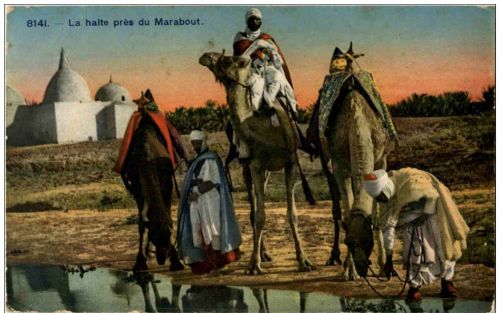 La haltepres du Marabout