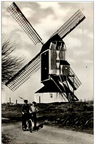 Hollands Molenlandschaf Mühle