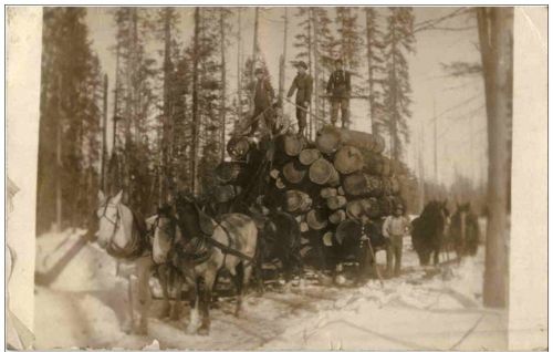 Holzfäller