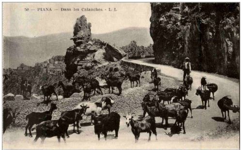 Piana - Dans les Calanches